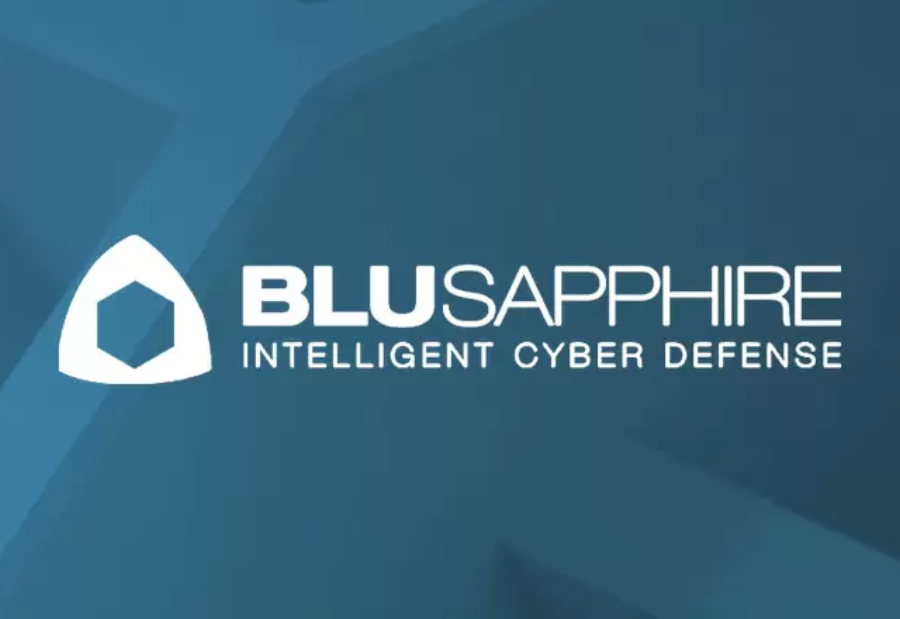 BluSapphire logo